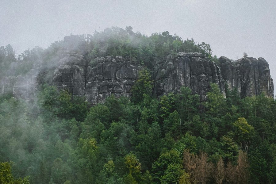 Voyage to National Parks, Small Camping Companionship.